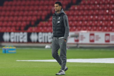Liverpool 'dan Cody Gakpo, Premier League maçı öncesinde Sheffield United' a karşı Liverpool Bramall Lane, Sheffield, İngiltere 'de 6 Aralık 2023' te geldi.