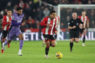 Sheffield United takımından Cameron Archer 6 Aralık 2023 'te Bramall Lane, Sheffield, İngiltere' de oynanan Premier League maçında topu kırıyor.