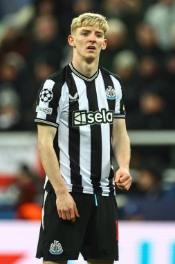 Newcastle United 'dan Anthony Gordon # 10 UEFA Şampiyonlar Ligi maçı sırasında Newcastle United - AC Milan maçı sırasında St. James' s Park, Newcastle, İngiltere, 13 Aralık 2023