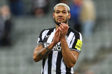 Newcastle United 'tan Joelinton # 7, UEFA Şampiyonlar Ligi maçı Newcastle United - AC Milan maçında 13 Aralık 2023' te St. James 's Park, Newcastle, İngiltere' de kaybedilen taraftarları alkışlıyor.