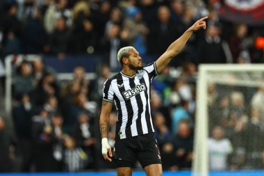 Newcastle United 'tan Joelinton # 7, UEFA Şampiyonlar Ligi maçı Newcastle United - AC Milan maçında 13 Aralık 2023' te St. James 's Park, Newcastle, İngiltere' de 1-0 'lık galibiyetini kutluyor.