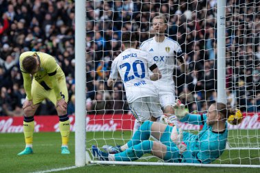 Leeds United takımından Daniel James, 21 Ocak 202 'de Leeds Road, İngiltere' de oynanan ve Leeds United ile Preston North End arasındaki Sky Bet Şampiyonası maçında 1-1 'lik skorunu kutluyor.