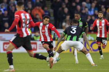 Sheffield United takımından Cameron Archer, Sheffield Lane, Sheffield, Birleşik Krallık 'ta oynanan ve Sheffield United ve Hove Albion' a karşı oynanan dördüncü tur karşılaşmasında topla birlikte koşuyor.