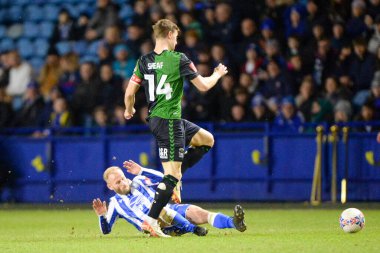 Sheffield Çarşamba Coventry City 'ye karşı