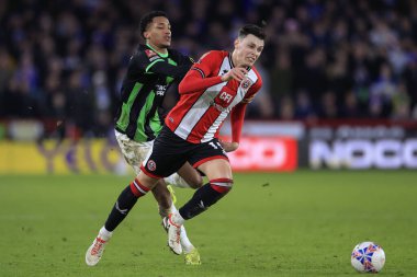 Sheffield United 'dan Anel Ahmedhodziç' e, Birleşik Krallık 'ın Bramall Lane, Sheffield, İngiltere' de oynanan dördüncü tur müsabakasında Brighton & Hove Albion takımından Joao Pedro meydan okuyor.