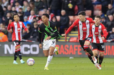 Brighton & Hove Albion 'dan Joao Pedro, Sheffield United' tan Anel Ahmedhodziç tarafından 27 Ocak 202 'de Bramall Lane, Sheffield, Birleşik Krallık' ta oynanan dördüncü tur müsabaka Sheffield United ve Hove Albion maçında geri çekildi.