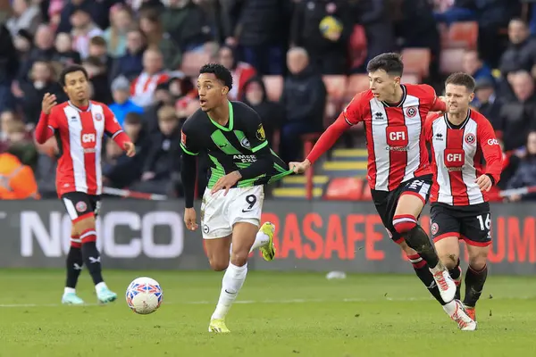 Brighton & Hove Albion 'dan Joao Pedro, Sheffield United' tan Anel Ahmedhodziç tarafından 27 Ocak 202 'de Bramall Lane, Sheffield, Birleşik Krallık' ta oynanan dördüncü tur müsabaka Sheffield United ve Hove Albion maçında geri çekildi.