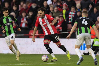 Sheffield United takımından Ben Brereton Diaz, Birleşik Krallık 'ın Sheffield Lane kentinde oynanan dördüncü tur müsabaka Sheffield United ve Hove Albion maçında topla koşuyor.