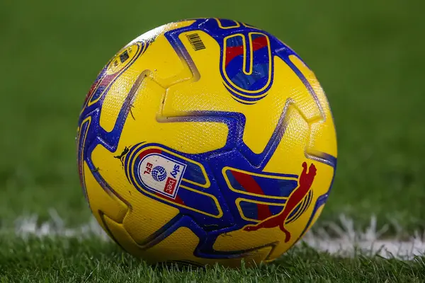 30 Ocak 202 'de Birleşik Krallık' taki King Power Stadyumu 'nda Leicester City ile Swansea City arasında oynanan Sky Bet Şampiyonası maçında EFL maçı topu.