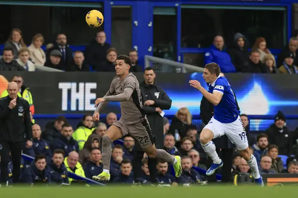 Tottenham Hotspur takımından Brennan Johnson, 3 Şubat 202 'de Goodison Park, Liverpool' da oynanan Premier League maçında Everton Tottenham Hotspur 'a karşı yarışıyor.