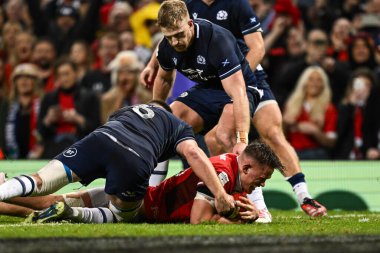 Galler 'den Alex Mann, 3 Şubat 202' de İngiltere 'nin Cardiff kentindeki Principality Stadyumu' nda oynanan 2024 Guinness 6 Milletler Galler - İskoçya maçına gidiyor.