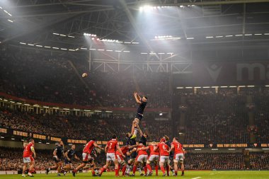İskoçyalı Scott Cummings 2024 Guinness 6 Milletler İskoçya 'ya karşı Principality Stadyumu, Cardiff, Birleşik Krallık' ta 3 Şubat 202 'de oynanan maçta sırayı iddia ediyor.