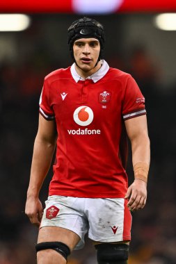 Galler 'den Dafydd Jenkins 2024 Guinness 6 Milletler İskoçya' ya karşı Principality Stadyumu, Cardiff, Birleşik Krallık, 3 Şubat 202