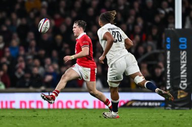 Galler 'den Ioan Lloyd 2024 Guinness 6 uluslar arası maçında Twickenham Stadyumu, Twickenham, Birleşik Krallık' ta İngiltere 'ye karşı Galler maçında önde.