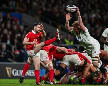 İngiltere 'den Ollie Chessum, 2024 Guinness maçında Galler' den Tomos Williams 'ı Twickenham Stadyumu' nda İngiltere 'ye karşı Galler maçında 10 Şubat 202' de şutladı.