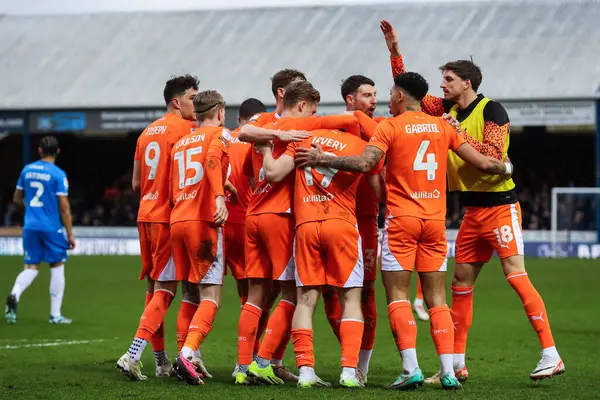 Blackpool 'dan Shayne Lavery, 17 Şubat 202' de İngiltere 'nin Peteron Homes Stadyumu' nda oynanan Sky Bet League 1 karşılaşmasında 1-1 'lik galibiyetini kutluyor.