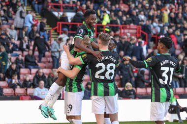 Brighton & Hove Albion 'dan Simon Adingra, 18 Şubat 202' de Bramall Lane, Sheffield, İngiltere 'de oynanan Premier League maçı Sheffield United ve Hove Albion maçında 0-4' lük skorla kazanma hedefini kutluyor.