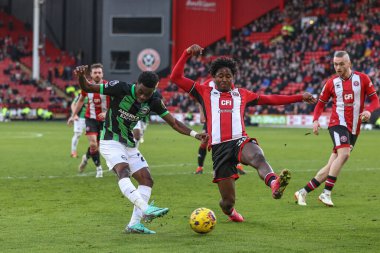 Brighton & Hove Albion takımından Simon Adingra, 18 Şubat 202 'de Bramall Lane, Sheffield, İngiltere' de oynanan Premier League maçında Sheffield United ve Hove Albion maçında 0-5 berabere kaldı.