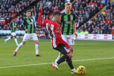Sheffield United takımından Gustavo Hamer 18 Şubat 202 'de Bramall Lane, Sheffield, İngiltere' de Premier League maçında Sheffield United ve Hove Albion maçında gol attı.