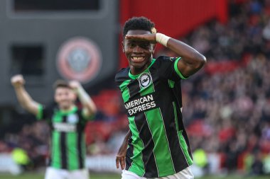 Brighton & Hove Albion 'dan Simon Adingra, 18 Şubat 202' de Bramall Lane, Sheffield, İngiltere 'de oynanan Premier League maçı Sheffield United ve Hove Albion maçında 0-4' lük skorla kazanma hedefini kutluyor.