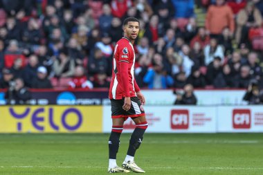 Brighton & Hove Albion takımından Pervis Estupin, 18 Şubat 2024 'te Bramall Lane, Sheffield, İngiltere' de oynanan Premier League maçında Sheffield United ve Hove Albion maçında elendikten sonra sahadan ayrıldı.