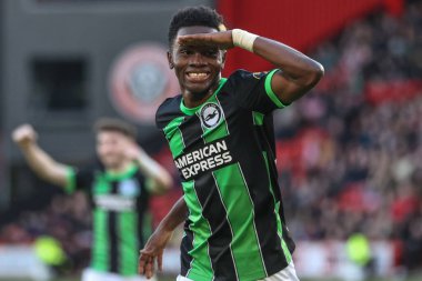 Brighton & Hove Albion 'dan Simon Adingra, 18 Şubat 202' de Bramall Lane, Sheffield, İngiltere 'de oynanan Premier League maçı Sheffield United ve Hove Albion maçında 0-4' lük skorla kazanma hedefini kutluyor.