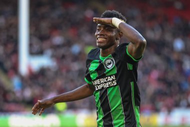Brighton & Hove Albion 'dan Simon Adingra, 18 Şubat 202' de Bramall Lane, Sheffield, İngiltere 'de oynanan Premier League maçı Sheffield United ve Hove Albion maçında 0-4' lük skorla kazanma hedefini kutluyor.