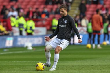 Brighton & Hove Albion takımından Jol Veltman Premier Lig karşılaşmasında Sheffield United, Brighton ve Hove Albion 'a karşı 18 Şubat 2024' te Bramall Lane, Sheffield, İngiltere 'de oynanan ön ısınma maçında
