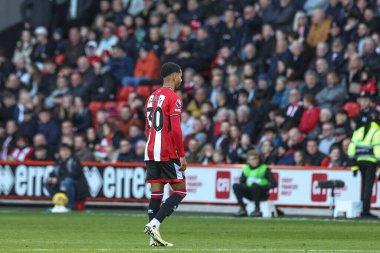 Brighton & Hove Albion takımından Pervis Estupin, 18 Şubat 2024 'te Bramall Lane, Sheffield, İngiltere' de oynanan Premier League maçında Sheffield United ve Hove Albion maçında elendikten sonra sahadan ayrıldı.