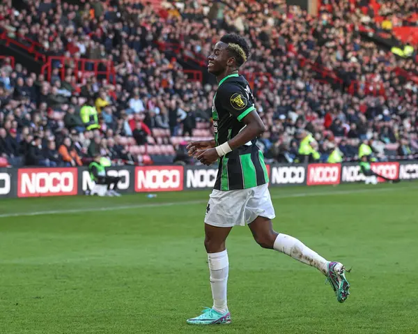 Simon Adingra Brighton Hove Albion Anota Durante Partido Premier League —  Fotos de Stock