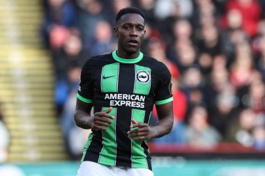 Brighton & Hove Albion takımından Danny Welbeck 18 Şubat 202 'de Bramall Lane, Sheffield, İngiltere' de Sheffield United ve Hove Albion maçında