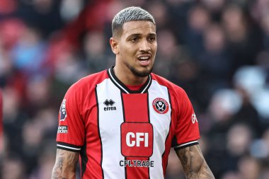 Sheffield United 'dan Vinicius Souza Premier League maçı sırasında Sheffield United ve Hove Albion Bramall Lane, Sheffield, İngiltere' de 18 Şubat 202 'de karşı karşıya geldi.