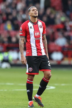 Sheffield United 'dan Vinicius Souza Premier League maçı sırasında Sheffield United ve Hove Albion Bramall Lane, Sheffield, İngiltere' de 18 Şubat 202 'de karşı karşıya geldi.