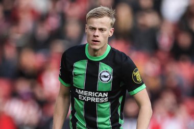 Brighton & Hove Albion takımından Jan Paul van Hecke 18 Şubat 202 'de Bramall Lane, Sheffield, İngiltere' de Sheffield United ve Hove Albion maçında