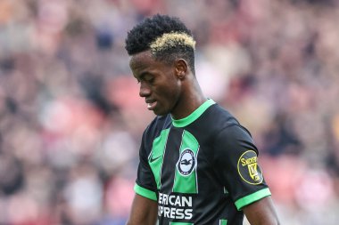Brighton & Hove Albion takımından Simon Adingra 18 Şubat 202 'de Bramall Lane, Sheffield, İngiltere' de Sheffield United ve Hove Albion maçında