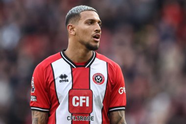 Sheffield United 'dan Vinicius Souza Premier League maçı sırasında Sheffield United ve Hove Albion Bramall Lane, Sheffield, İngiltere' de 18 Şubat 202 'de karşı karşıya geldi.