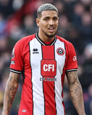 Sheffield United 'dan Vinicius Souza Premier League maçı sırasında Sheffield United ve Hove Albion Bramall Lane, Sheffield, İngiltere' de 18 Şubat 202 'de karşı karşıya geldi.