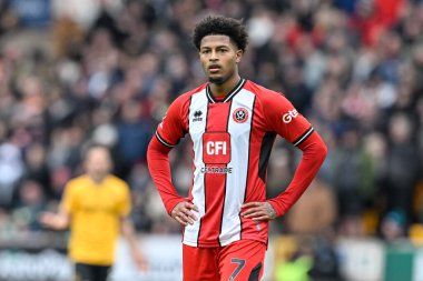 Sheffield United takımından Rhian Brewster Premier League maçında Wolverhampton Wanderers, Sheffield United 'a karşı Molineux, Wolverhampton, Birleşik Krallık' ta, 25 Şubat 202