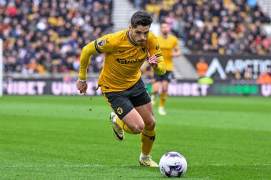 Wolverhampton Wanderers takımından Pedro Neto, Premier League maçında Molineux, Wolverhampton, Birleşik Krallık 'ta Wolverhampton Wanderers - Sheffield United maçında topa vuruyor.