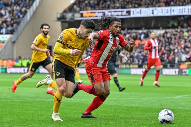 Wolverhampton Wanderers takımından Pedro Neto, Premier League maçında Molineux, Wolverhampton, Birleşik Krallık 'ta Wolverhampton Wanderers - Sheffield United maçında topa vuruyor.