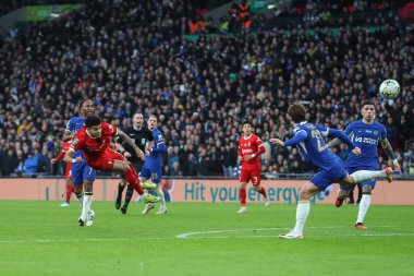 Liverpool 'dan Luis Daz, 25 Şubat 202' de İngiltere 'nin Wembley Stadyumu' nda oynanan Carabao Kupası final maçında gol attı. 