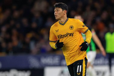 Wolverhampton Wanderers takımından Hwang Hee-Chan, Birleşik Krallık 'ın başkenti Molineux' da Wolverhampton Wanderers ve Hove Albion maçında 28 Şubat 202 tarihinde oynanan 5.