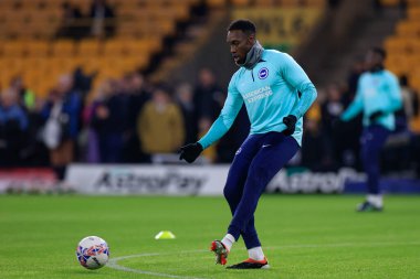 Brighton & Hove Albion takımından Danny Welbeck, 28 Şubat 202 'de İngiltere' nin Wolverhampton kentinde oynanan 5. Raund FA Cup karşılaşması öncesinde oynanan ısınma turunda Wolverhampton Wanderers ve Hove Albion 'a karşı