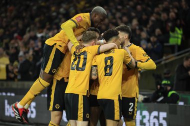 Wolverhampton Wanderers - Brighton ve Hove Albion maçlarında 28 Şubat 202 tarihinde İngiltere 'nin Wolverhampton kentinde oynanan 5.