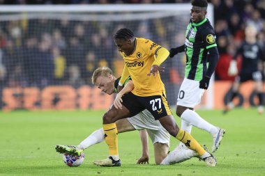 Wolverhampton Wanderers takımından Jean-Ricner Bellegarde ve Brighton & Hove Albion takımından Jan Paul van Hecke, Federasyon FA Cup 5. Raundda Wolverhampton Wanderers ve Molineux, Wolverhampton 'da Hove Albion' a karşı oynadıkları karşılaşmada top için mücadele ediyorlar.