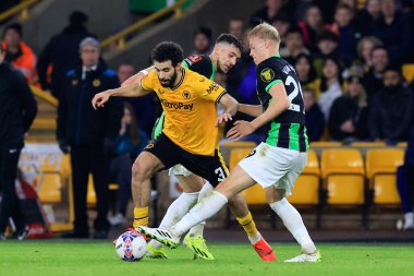 Wolverhampton Wanderers takımından Rayan Ait-Nouri ve Brighton & Hove Albion takımından Jan Paul van Hecke, Birleşik Krallık, Wolverhampton, Wolverhampton ve Hove Albion 'a karşı oynanan 5.