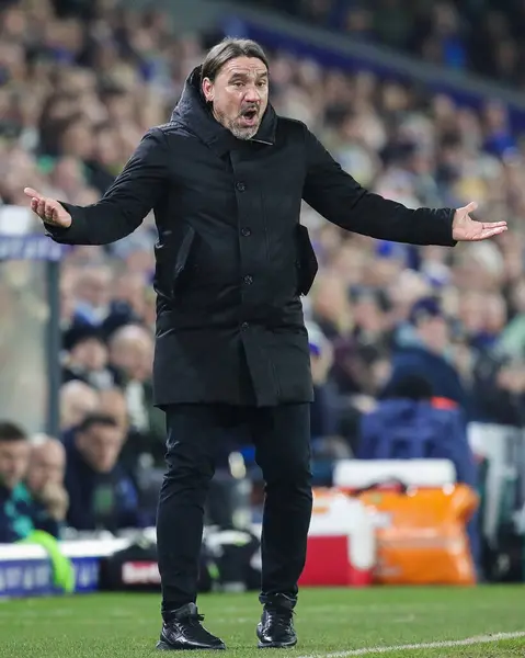 Daniel Farke Manager Leeds United Gestures Reacts Sky Bet Championship — Stock Photo, Image