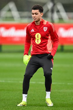 Galler 'den Brennan Johnson 20 Mart 2024' te Vale Resort Training Compleining Compleining, Hensol, İngiltere 'de yapılan açık eğitim sırasında