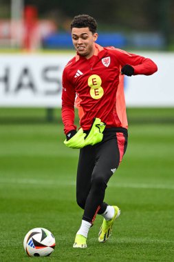 Galler 'den Brennan Johnson, 20 Mart 2024' te Vale Resort Training Compleining Compleining, Hensol, İngiltere 'de Galler' deki açık eğitim oturumunda eylem halinde.