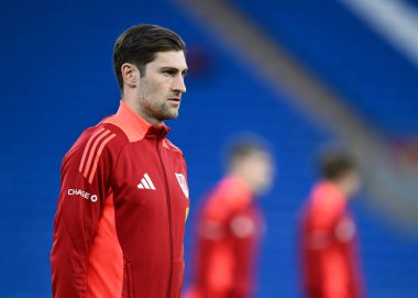 Galler 'den Ben Davies, 21 Mart 202 tarihinde Cardiff, İngiltere' deki Cardiff City Stadyumu 'nda oynanan Galler-Finlandiya yarı final play-off karşılaşması öncesinde geldi.